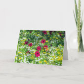 Droomgebied Kaart (Voorkant)