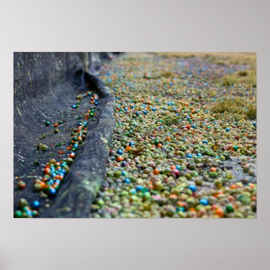 Droomgebied Poster (Voorkant)