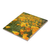 Droomgebied Tegeltje (Zijkant)