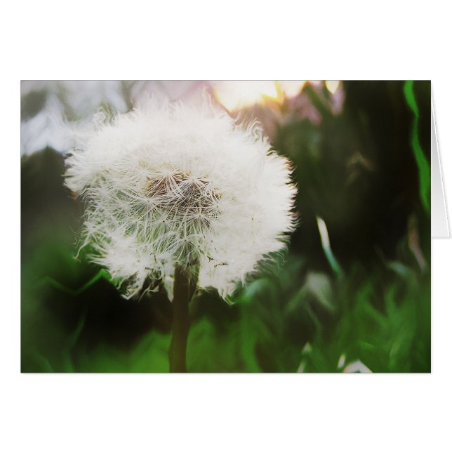 droomkaart (Voorkant Horizontaal)