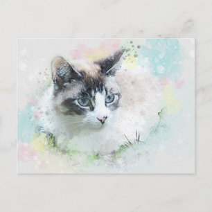 droomkattenbriefkaart briefkaart