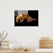 droomland poster (Keuken)