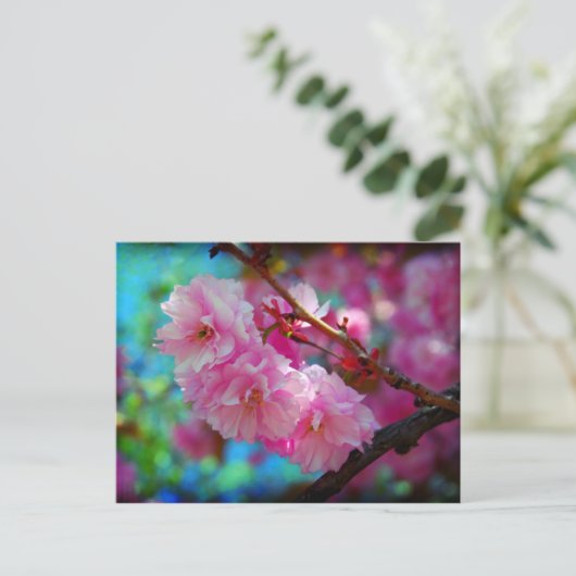 Droomland, torenbloesem in Korea Briefkaart (Staand voorkant)