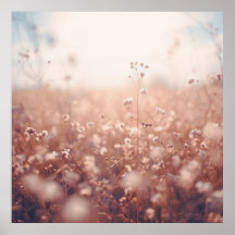 Droomlandschap met wilde bloemen