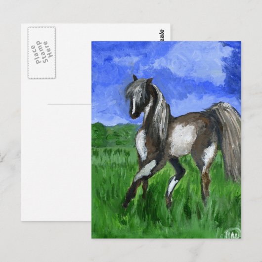 Droompaard Briefkaart (Voorkant / Achterkant)