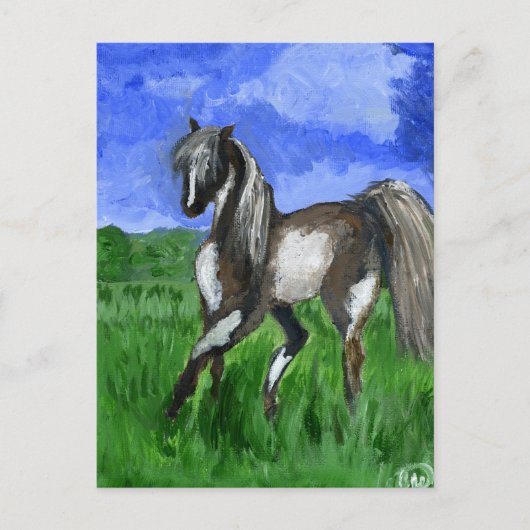 Droompaard Briefkaart (Voorkant)