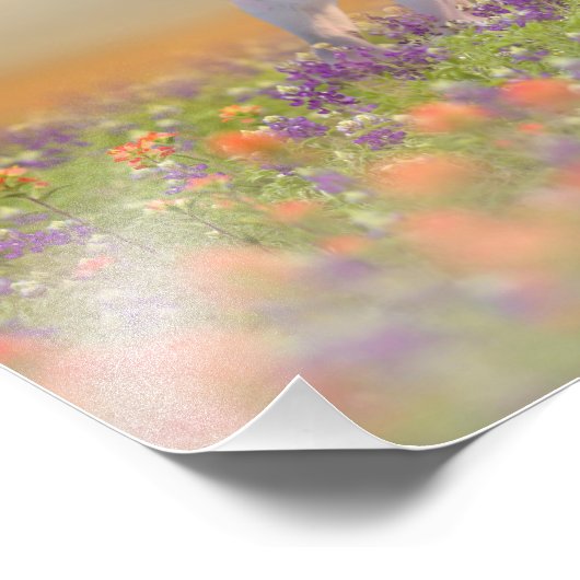 Droompaard rennend door veld van roze bloemen foto afdruk (Hoek)