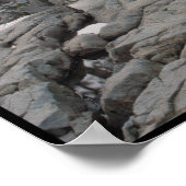 Droompoel - Eagle herfsten Lake Tahoe, CA Poster (Hoek)