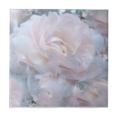 droomroos tegeltje (Voorkant)