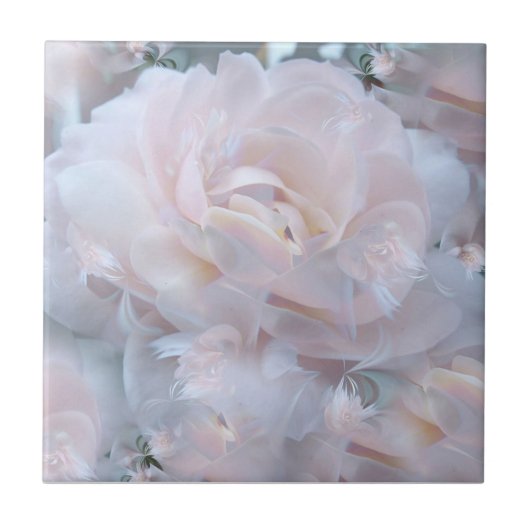 droomroos tegeltje (Voorkant)