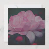 Droomroze Roze Bloem  Kaart (Achterkant)