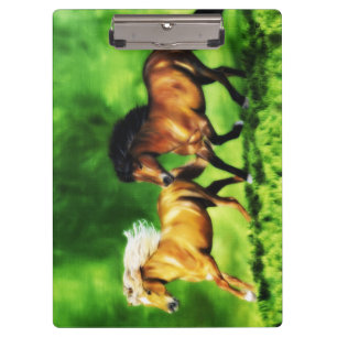 Droomteam van IJslandse paarden Klembord