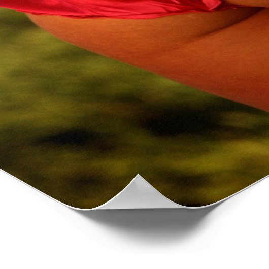 droomveld! poster (Hoek)