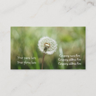 droomvisitekaartje visitekaartje