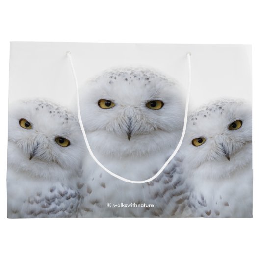 Droomvrouw Wisdom van Snowy Owls Groot Cadeauzakje (Achterkant)