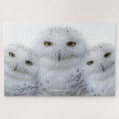 Droomvrouw Wisdom van Snowy Owls Legpuzzel (Horizontaal)