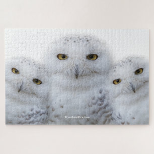 Droomvrouw Wisdom van Snowy Owls Legpuzzel