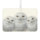 Droomvrouw Wisdom van Snowy Owls Luchtverfrisser (Achterkant)