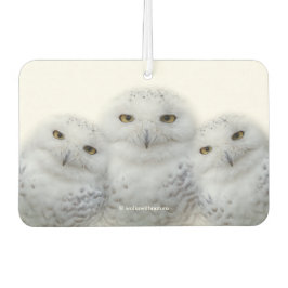 Droomvrouw Wisdom van Snowy Owls Luchtverfrisser