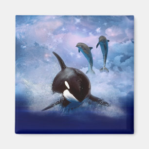 Droomwalvis en dolfijnen magneet