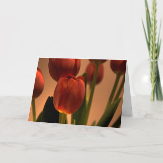 Drop of Sun Bedankkaart