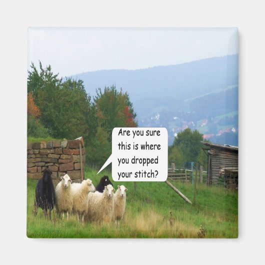 Drop Stitch Sheep Magnet (Voorkant)
