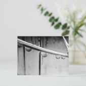 Droplets on Vine Postcard Briefkaart (Staand voorkant)