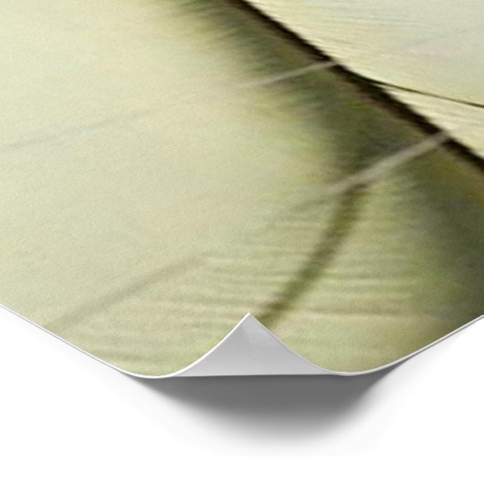 DROPPEN IN POSTER (Hoek)