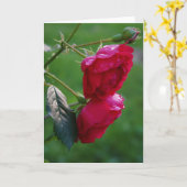 Drops of Rain Kaart (Gele Bloem)