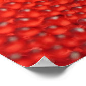 Drops van de ochtenddauw poster (Hoek)