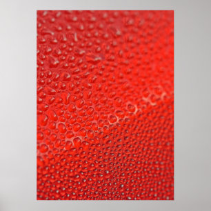 Drops van de ochtenddauw poster