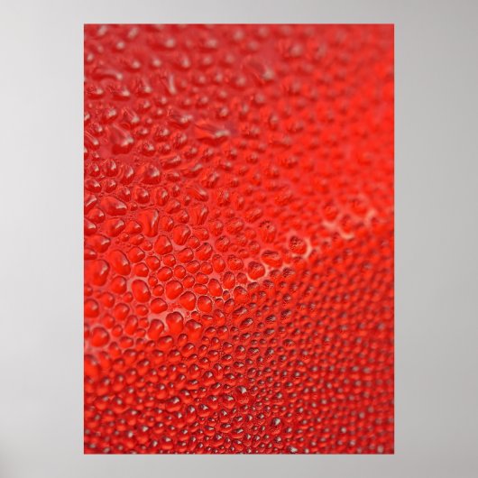 Drops van de ochtenddauw poster (Voorkant)