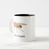 Drosophila Coffee Mok (Voorkant links)