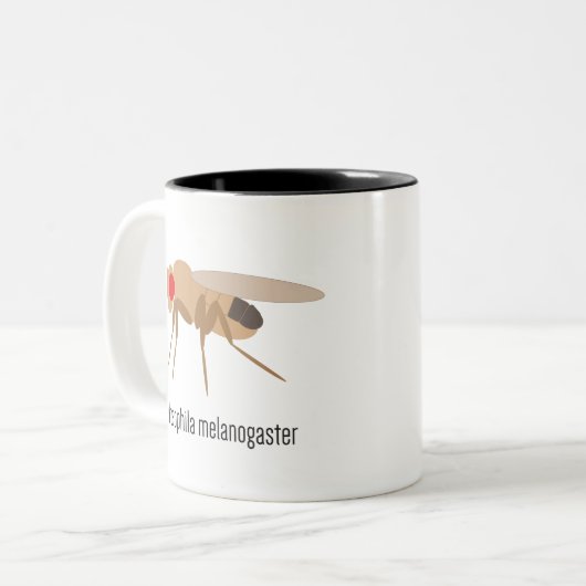 Drosophila Coffee Mok (Voorkant links)