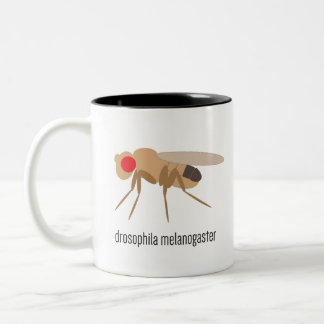 Drosophila Coffee Mok