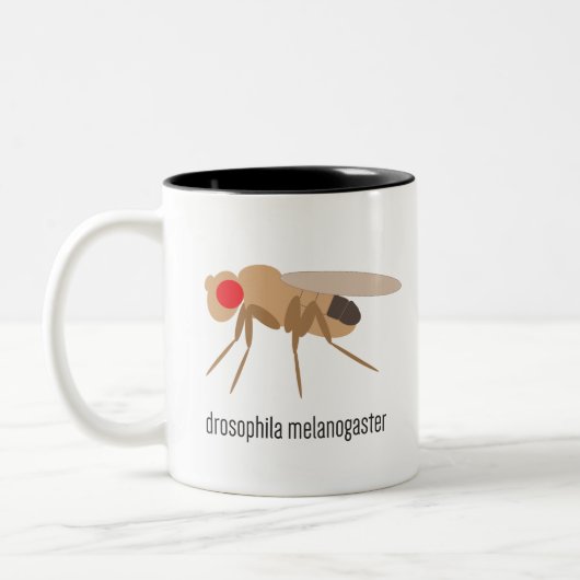 Drosophila Coffee Mok (Links)