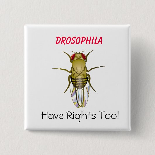 DROSOPHILA, Drosophila, heb Righ... - Gepersonalis Vierkante Button 5,1 Cm (Voorkant)
