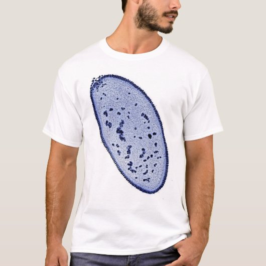 drosophila embryo - DNA-vlek T-shirt (Voorkant)