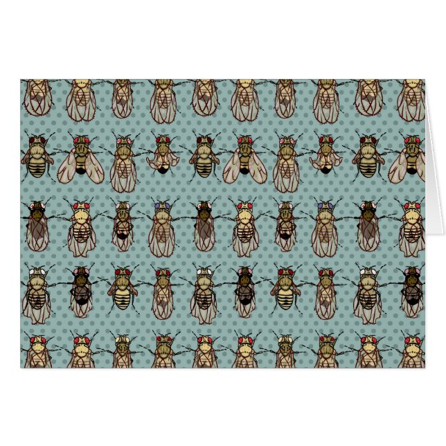 Drosophila Fruit Fly Genetics (Voorkant Horizontaal)