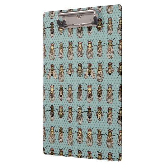 Drosophila Fruit Fly Genetics - mutants Klembord (Links)