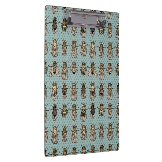 Drosophila Fruit Fly Genetics - mutants Klembord (Rechts)