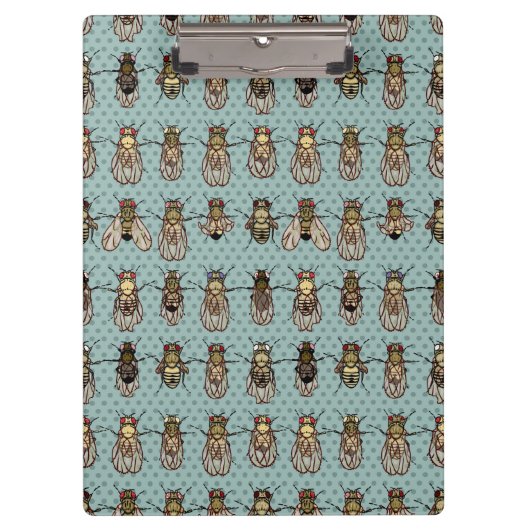 Drosophila Fruit Fly Genetics - mutants Klembord (Voorkant)