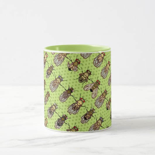 Drosophila Fruit Fly Genetics - mutants - Limoen Mok (Midden)