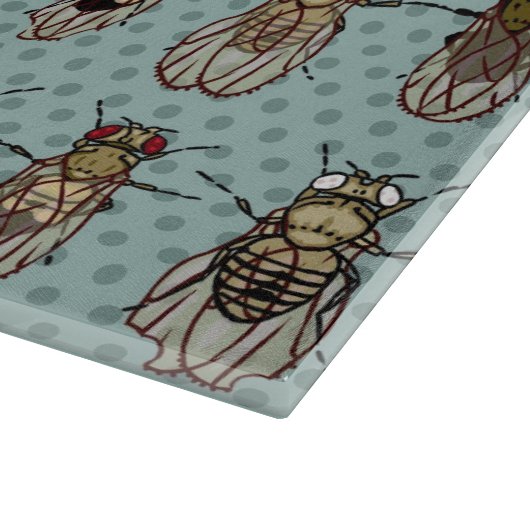 Drosophila Fruit Fly Genetics - mutants Snijplank (Hoek)