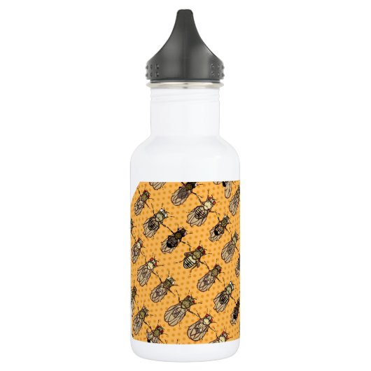 Drosophila Fruit Fly Genetics - mutants - Tangerin Waterfles (Links)