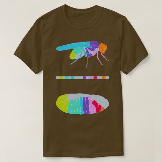 Drosophila Hox Genes T-shirt (Design voorkant)