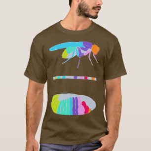 Drosophila Hox Genes T-shirt