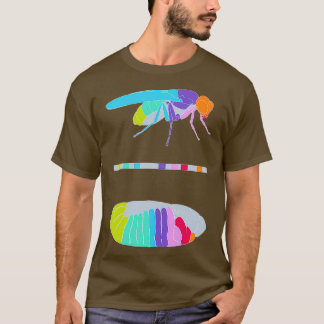 Drosophila Hox Genes T-shirt