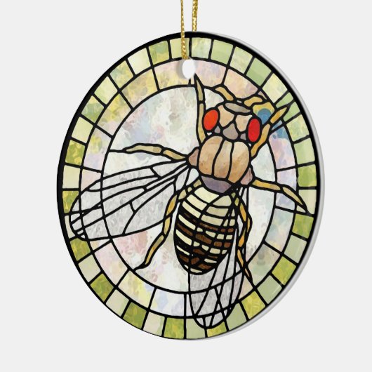 Drosophila Keramisch Ornament (Links)