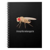 Drosophila Lab-laptop Notitieboek (Voorkant)